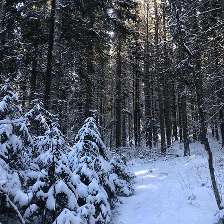 Kungsbergetnatur Järbo Dış mekan fotoğraf