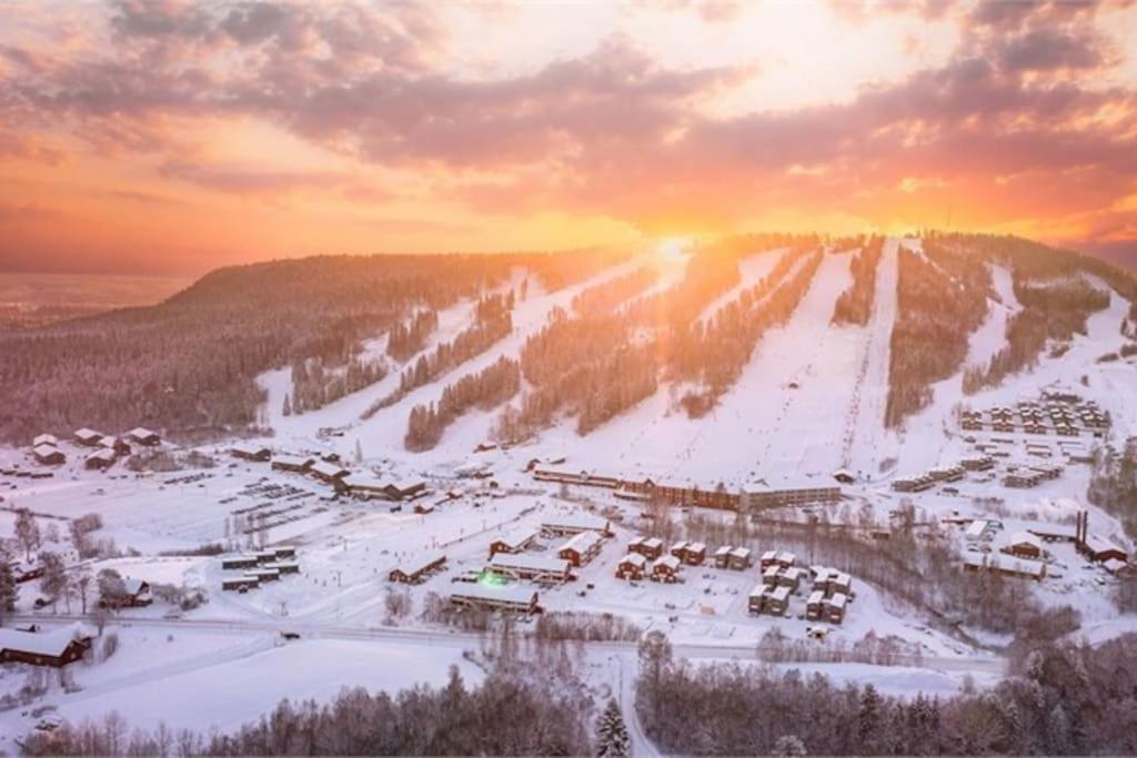 Kungsbergetnatur Järbo Dış mekan fotoğraf